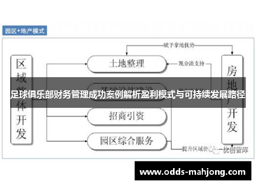 足球俱乐部财务管理成功案例解析盈利模式与可持续发展路径