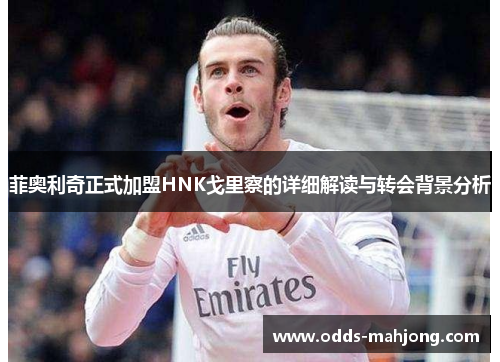 菲奥利奇正式加盟HNK戈里察的详细解读与转会背景分析